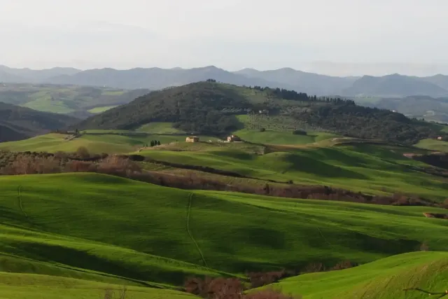 Agriturismo Fattorie Inghirami 2