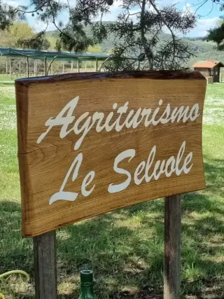 Agriturismo Le Selvole