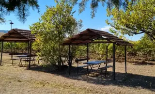 Agriturismo Le Selvole