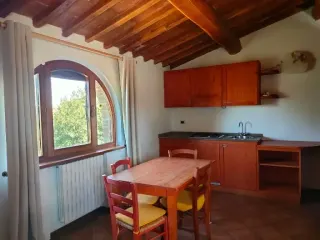 Azienda Agricola Lischeto